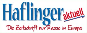 haflinger_aktuell