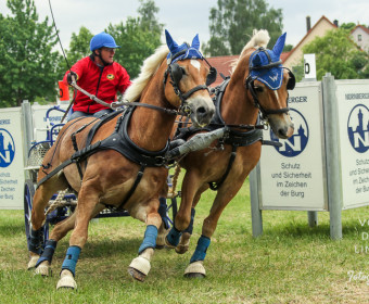 Johann Weitlaner mit Noble Star und Fiamma